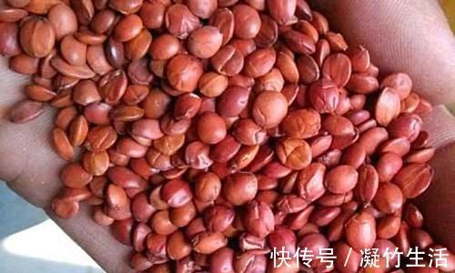 失眠|它是失眠的“恩人”,每天吃一点,坚持做3事,让失眠慢慢远离你