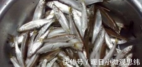 钓友们|钓白条的钓法很多种,你最喜欢哪种钓法?大爷这种钓法很无解