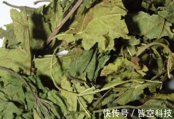 糖尿病|它是天然“胰岛素”，糖尿病克星，泡水喝3天，血糖乖乖降！