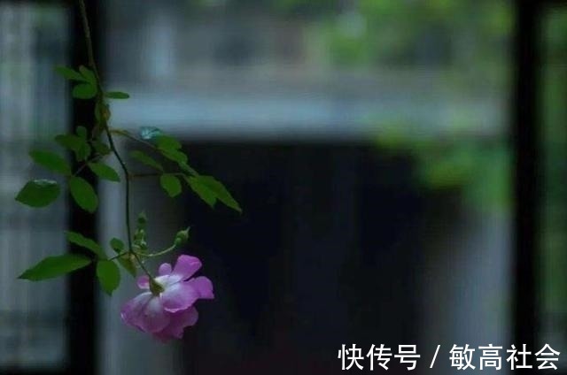 人家庭#爷爷说:为人处世,这四件事是“杀人不见血的刀”,要放下