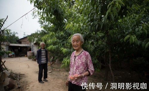 桃树#八旬夫妇住蟠桃园里，黄河就从眼前过，蟠桃熟时喊路人随便摘着吃