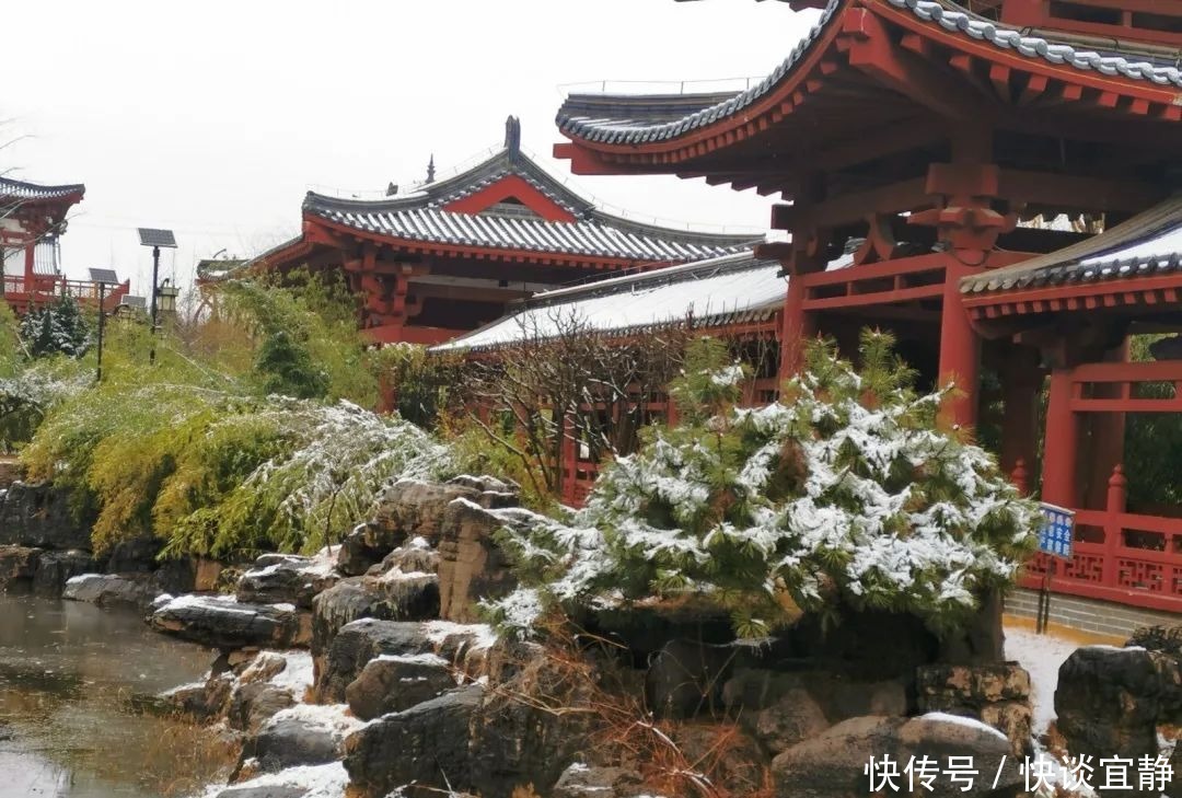 中年|难得一见的春日雪景,美到心醉!