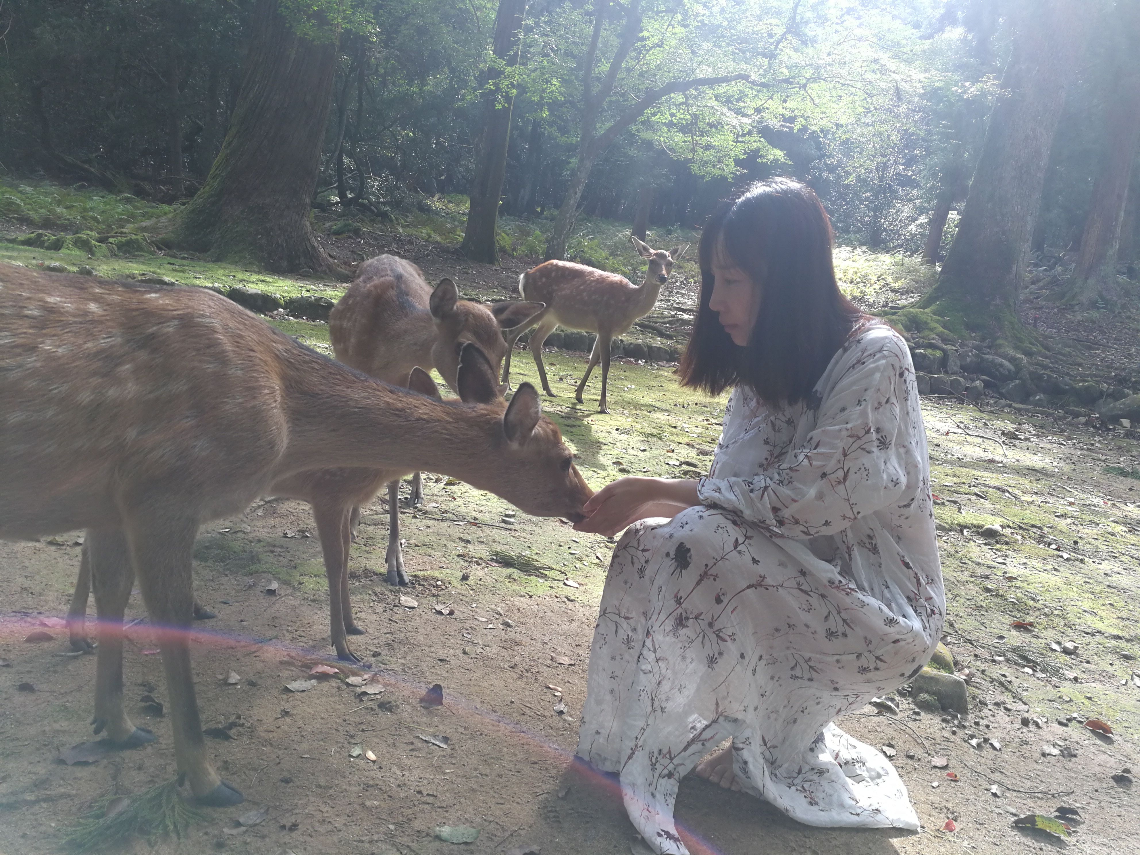 林泓君&女画家林泓君绘画作品欣赏