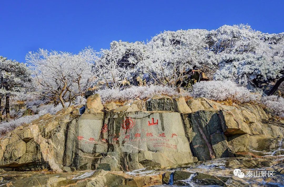  散文|跟随姚鼐的散文《登泰山记》冬览泰山