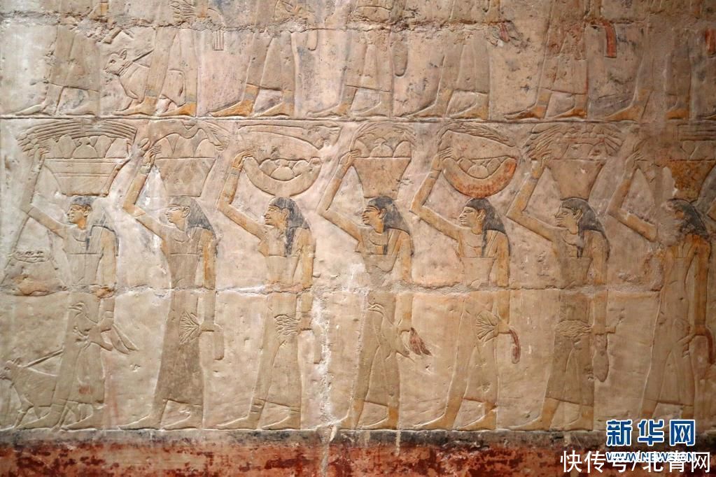 彩绘|埃及塞加拉古墓寻“画”