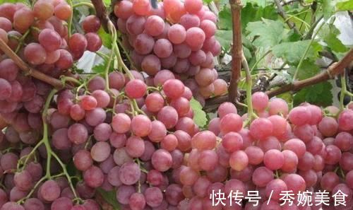 营养成分|人到中年怕衰老，适合多吃的食物，调理肠胃，抗衰老，肌肤细腻