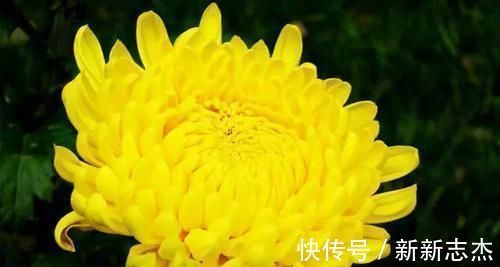 血压|高血压不用依靠“药”，常吃这5种食物，或能帮您控制血压更健康