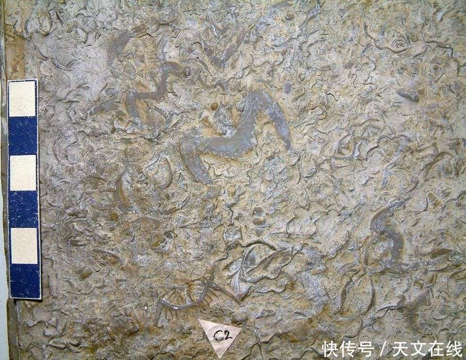 火星没有生命，地球充满生机， “红蓝兄弟”为何命运截然不同？