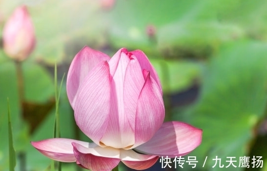 阴阳互根|10月下旬,4属相遇贵人喜进门,桃花旺盛,财源广进,生活顺心