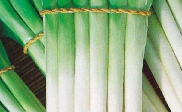 食疗本草|大葱的营养价值这么高，你还会嫌弃它吗？