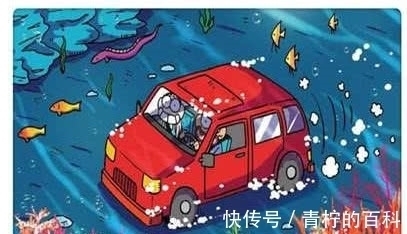 鲍鱼|轻松一刻:校园推出30块钱“鲍鱼”,只不过形状看起来怪怪的!