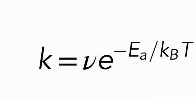 用计算机真正模拟生命还要多久