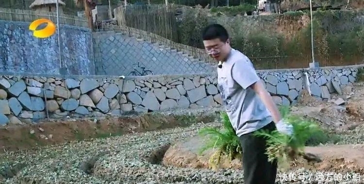 陈赫 彭昱畅张子枫,期待已久的奥特曼,没想到是往季节目这两位嘉宾