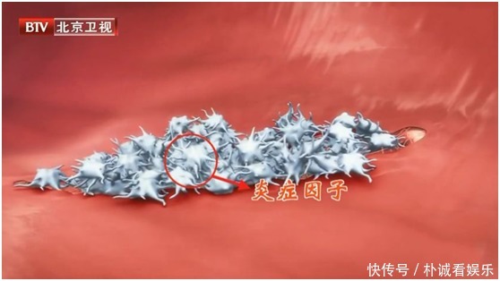 这些炎症可能比癌症更可怕,发病快、致死率高