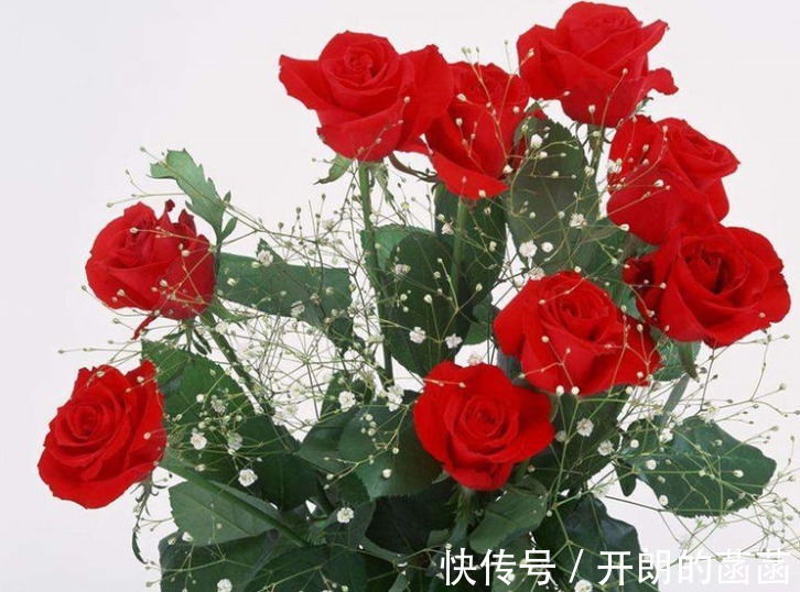 财神|男人都招架不住的属相女,越老越迷人,越老越富有