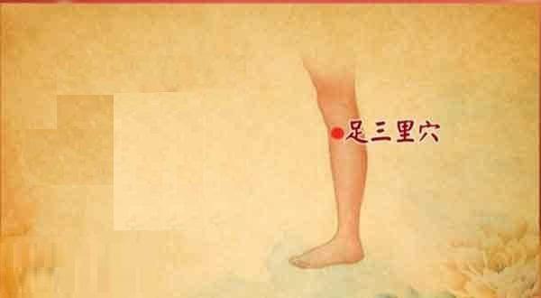 委中穴|我们身上自带的7个“祛湿点”，要多拍一拍，湿气一直不断被赶出