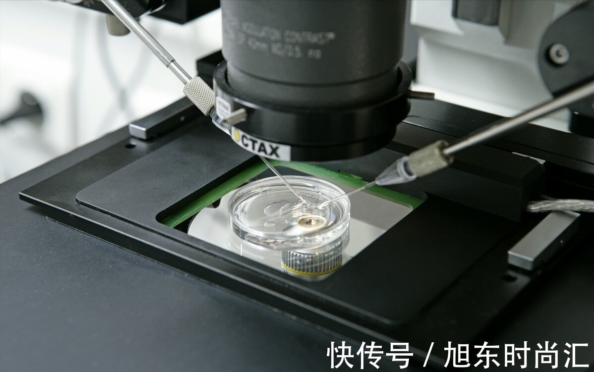 宝宝|试管婴儿与普通婴儿有何不同?专家表示:智力方面确实有点差距