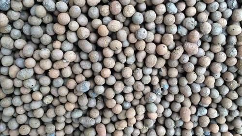 可以垫在花盆底部的4种材料，不用花钱买，趁着春季踏青捡点就行