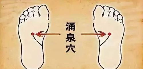 李时珍|李时珍男人的“天然雄激素”,早晚喝一点,老婆更爱你