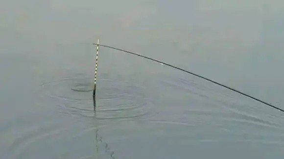 想要清晰的顿口，吃铅是要轻一点还是大一点