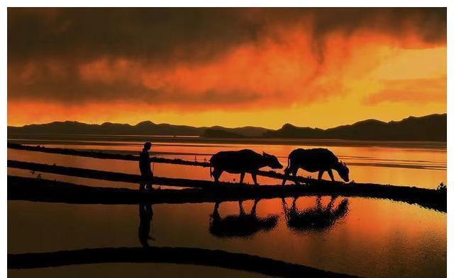 好好学习|孩子以后有没有出息,就看这4点,与学习成绩无关