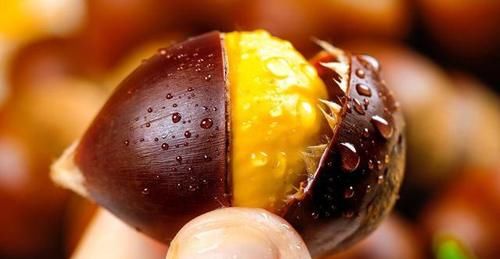 原来给板栗开口很简单，只需要多加1个瓶盖，简单快速还不伤手！