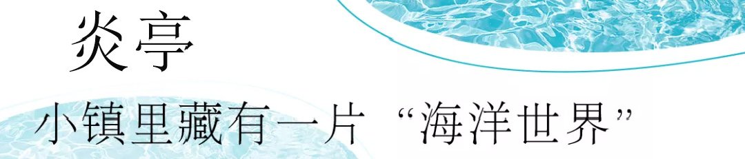 浙南|赶海踏浪、拍照打卡、品尝海鲜……苍南炎亭游玩攻略上新！