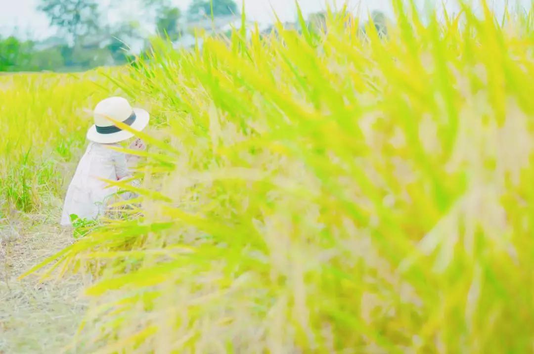 内疚|冲孩子发火,破坏孩子灵性;不发火憋得自己难受,请这样做!