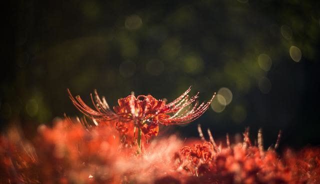 人生@心烦的时候,记住这3句话,让你受用一生