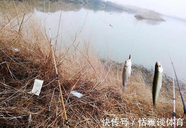 参数|气压多少帕才能去钓鱼，得了解这三个参数值，才能心中有数