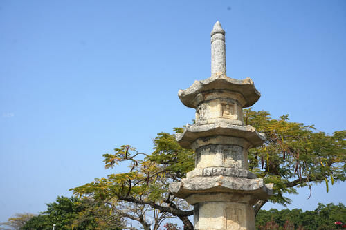 福建有个古城，名气不大却藏中国四大古桥，听桥名游客以为在河南