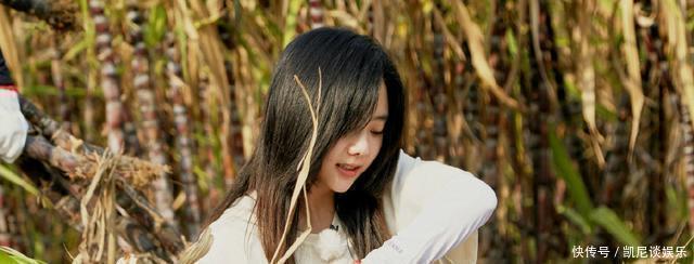 任嘉伦做客《向往的生活》,任劳任怨,发劳动感悟,提升节目品质