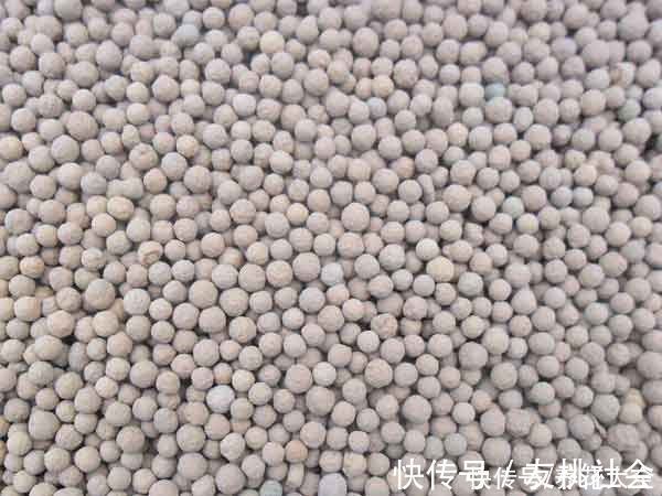 养花土里加上这5种颗粒,透气透水效果好,养花再也不烂根