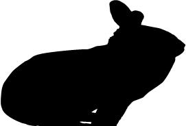 思维导图|几个常用的动画技巧,让你的PPT像动漫一样的吸引人,堪比flash