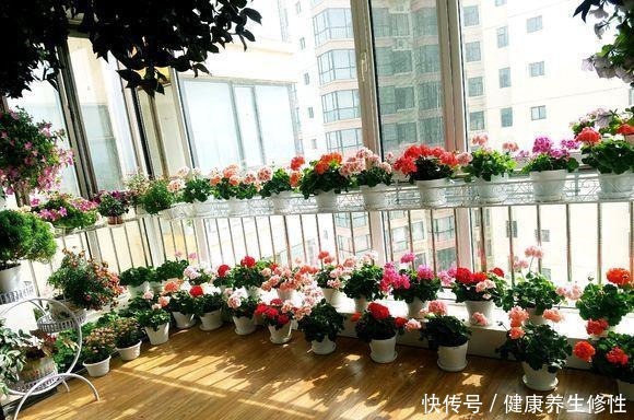 养花杀手的“臭毛病”,怪不得总是养死花,看看你占了几条!