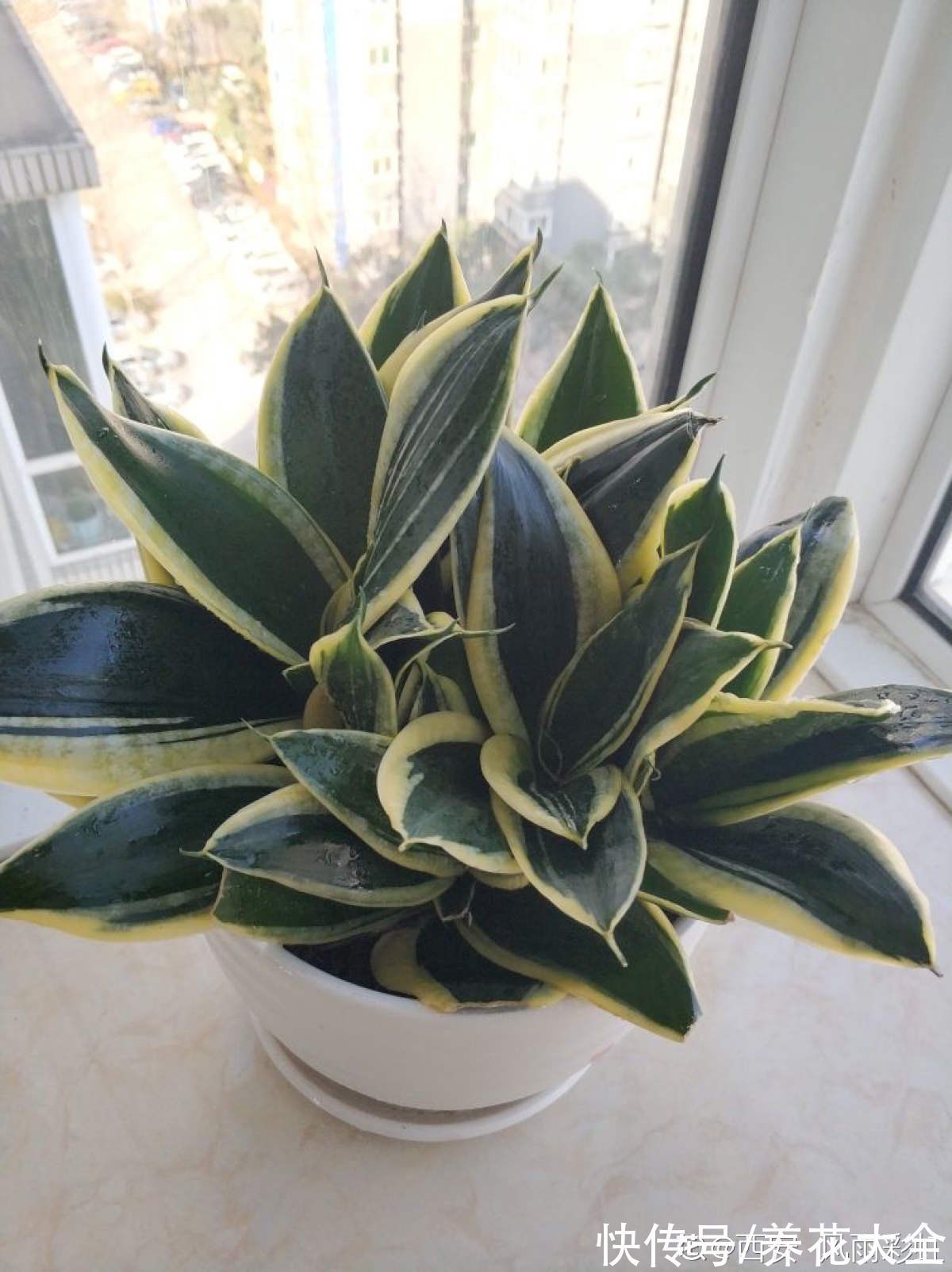 今年下半年起,农村严查3种“小生意”,严重的会被直接判刑