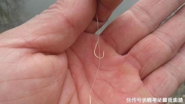 夏季|夏季钓鱼,子线的选用技巧,科学的选择子线长短,钓鱼事半功倍