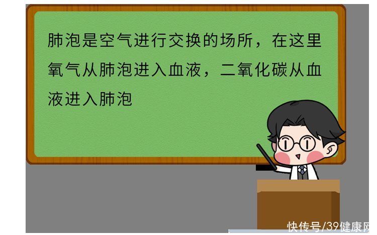 杨学宁|为什么中国肺癌患者越来越多？直言不讳：除了抽烟，还有5大诱因