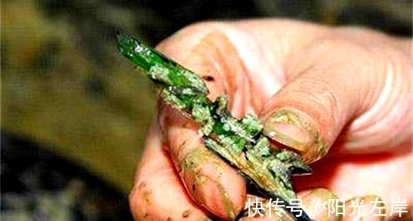 舍利@盗墓者进入墓穴,发现22个陪葬女,骨骼中都有绿色晶体,是舍利?