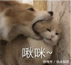 棕色系合集,变身你的可可女孩