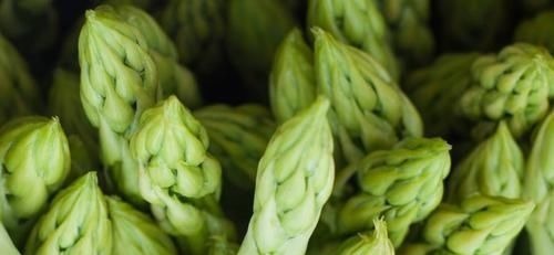 食物|肝不好别吃药,多吃5种食物,给肝脏“大扫除”,肝越来越好!