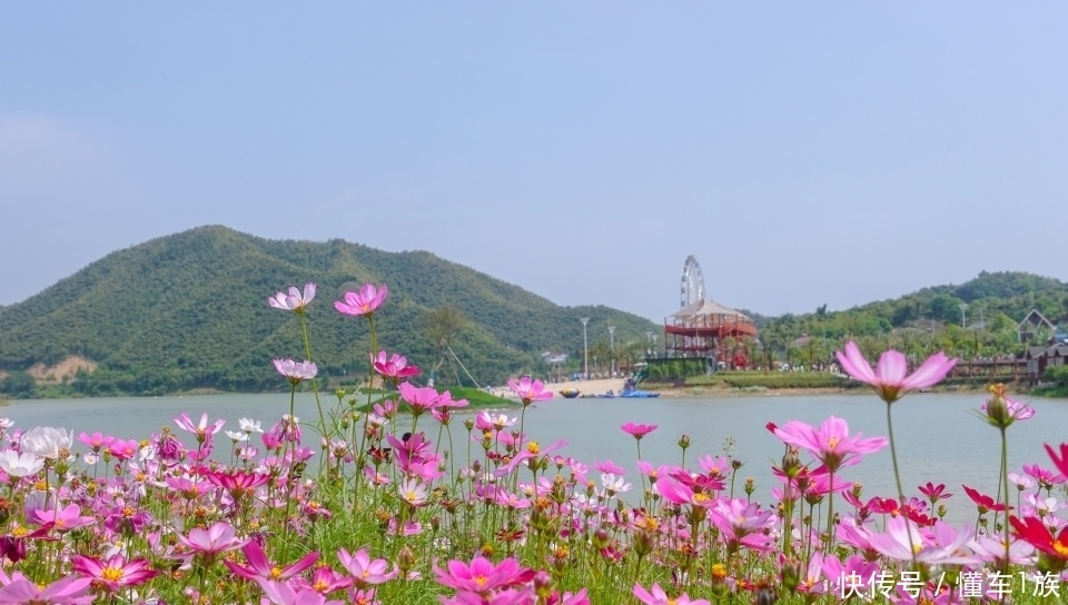 安吉最特别的旅游度假区，有无海的阳光沙滩，还有奥陶纪般的体验