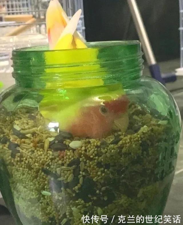 学校食堂大妈对西红柿炒鸡蛋是不是有什么误解?