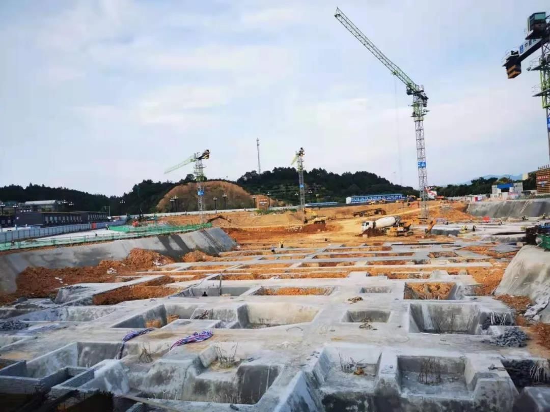 考古发掘|衢州市各县（市、区）文物局挂牌成立！