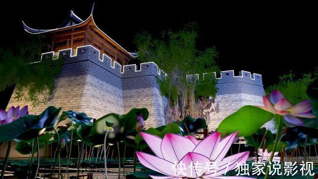 奥运冠军|央视秋晚7大看点:奥运冠军献歌,央视boys首秀,4位主持人来表演