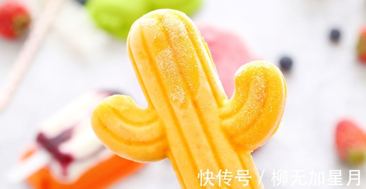 自制|自制雪糕,无需任何技巧,酸酸甜甜口感好!