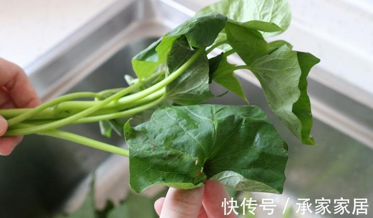 蒜香红薯叶|红薯叶煮鸡蛋，作用实在是太厉害了，省钱又实用，很多人都不晓得