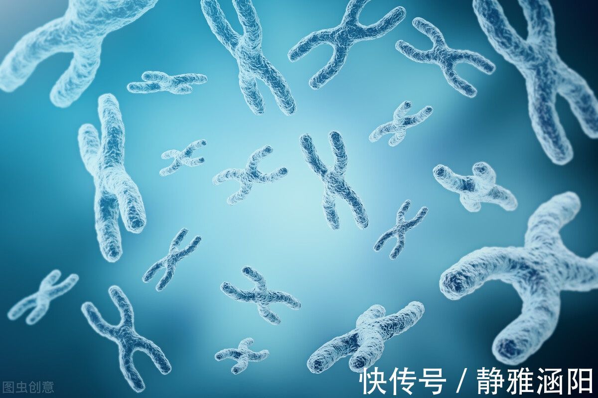 女孩|为什么有些家庭一直生儿子,有些家庭一直生女儿?