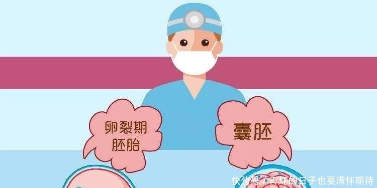 成功率|判断女性生育力的黄金指标-amh如何预知您的试管婴儿成功率