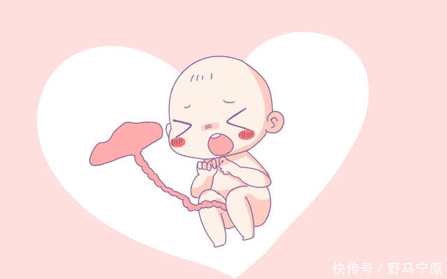 胚胎|怀孕时这周最危险,容易发生畸形和胎停,孕妈要小心度过